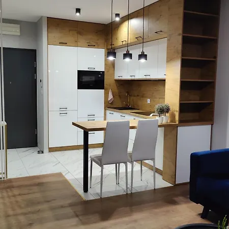 Apartament Przy Parku Slaskim Katowice Zewnętrze zdjęcie