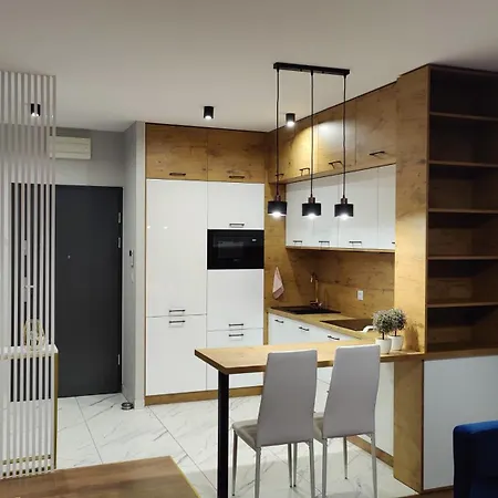 Apartament Przy Parku Slaskim Katowice Zewnętrze zdjęcie